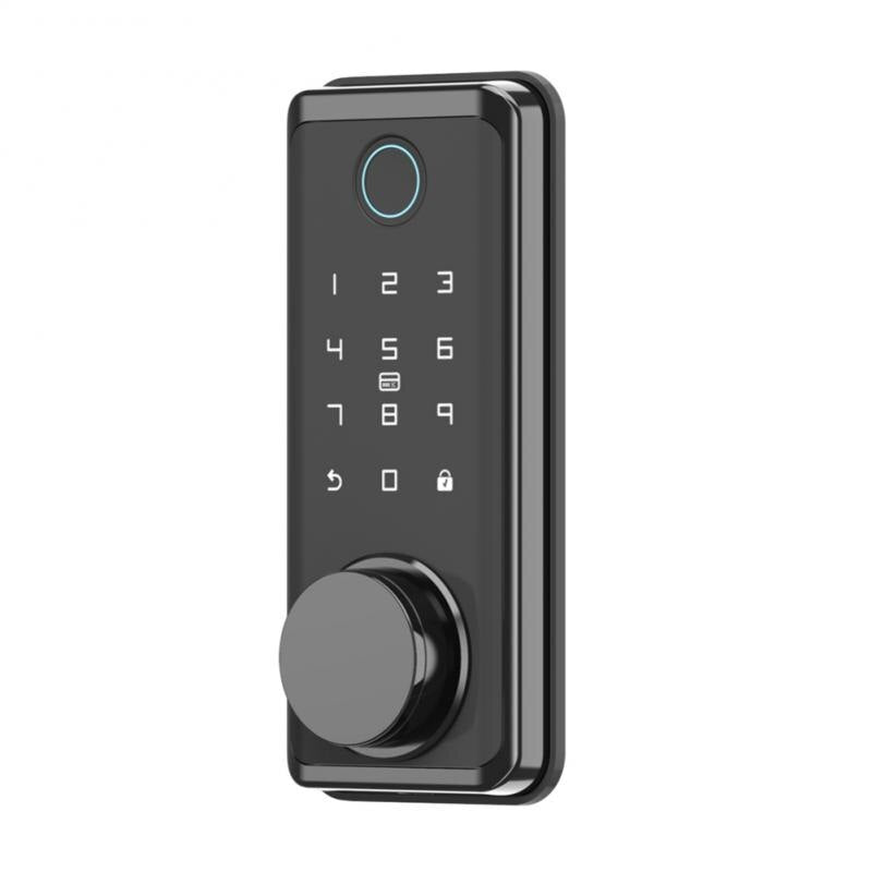 Compatible Fingerprint Lock Keyless Tuya Password